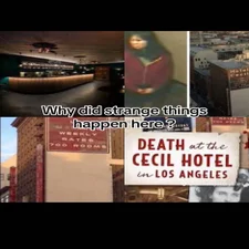8b9d2df559cfe116330b88a97a2eaf80-standard.webp