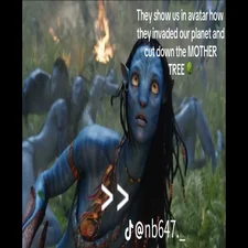 968f561e087577d220b8bf922d5e352a-standard.webp