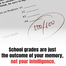 98149a6385c364659776d025b07d2869-standard.webp