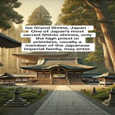 a1e6e219777a7625db2a73ffccb7885b-standard.webp