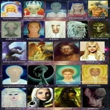 b526355eb83daea787f97bfd3586e59f-standard.webp