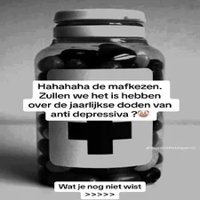 e1190a652a723540c7f0a9ab5e13c7f5-standard.webp