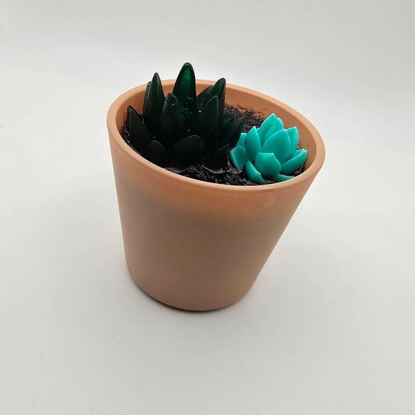 Terracotta Pot met Duo van Epoxy Succulenten