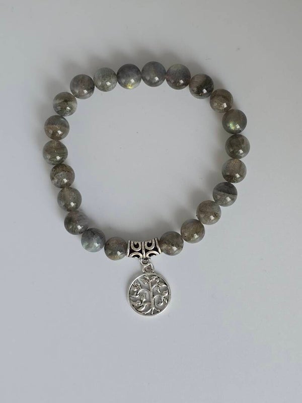 Labradoriet & De Boom des Levens