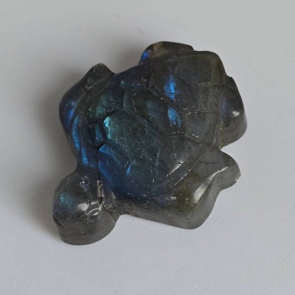 Mystiek Schildpadje van Labradoriet