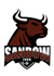 ZVVO Sandow