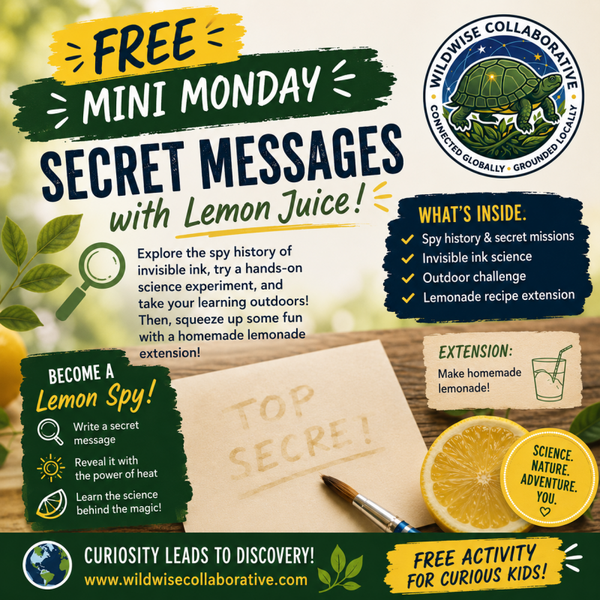 Free Mini Monday: Secret Spy Messages