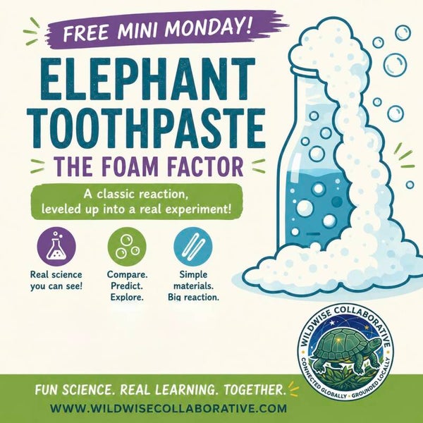 Free Mini Monday - Elephant Toothpaste