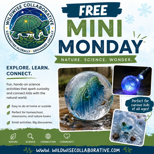 Free Mini Monday - Ice Tells a Story: Exploring Freezing, Melting, and Nature's Hidden Processes
