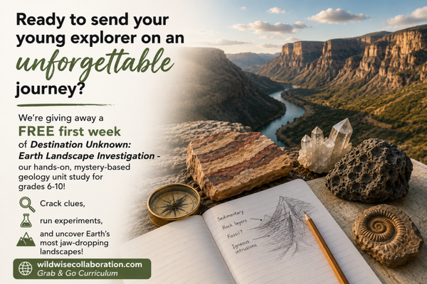 Free Destination Unknown - Week 1
