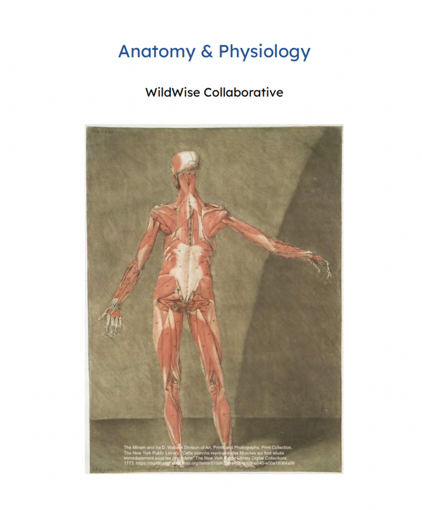 Anatomy & Physiology Course