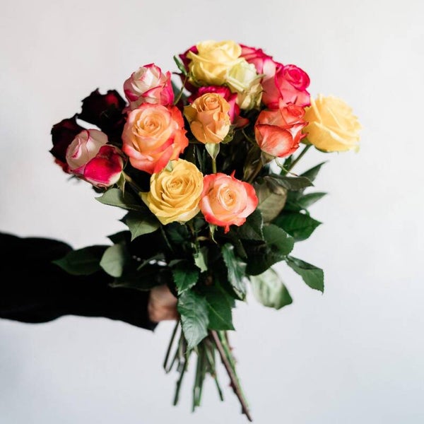 Gemengde rozen (2 bosjes)