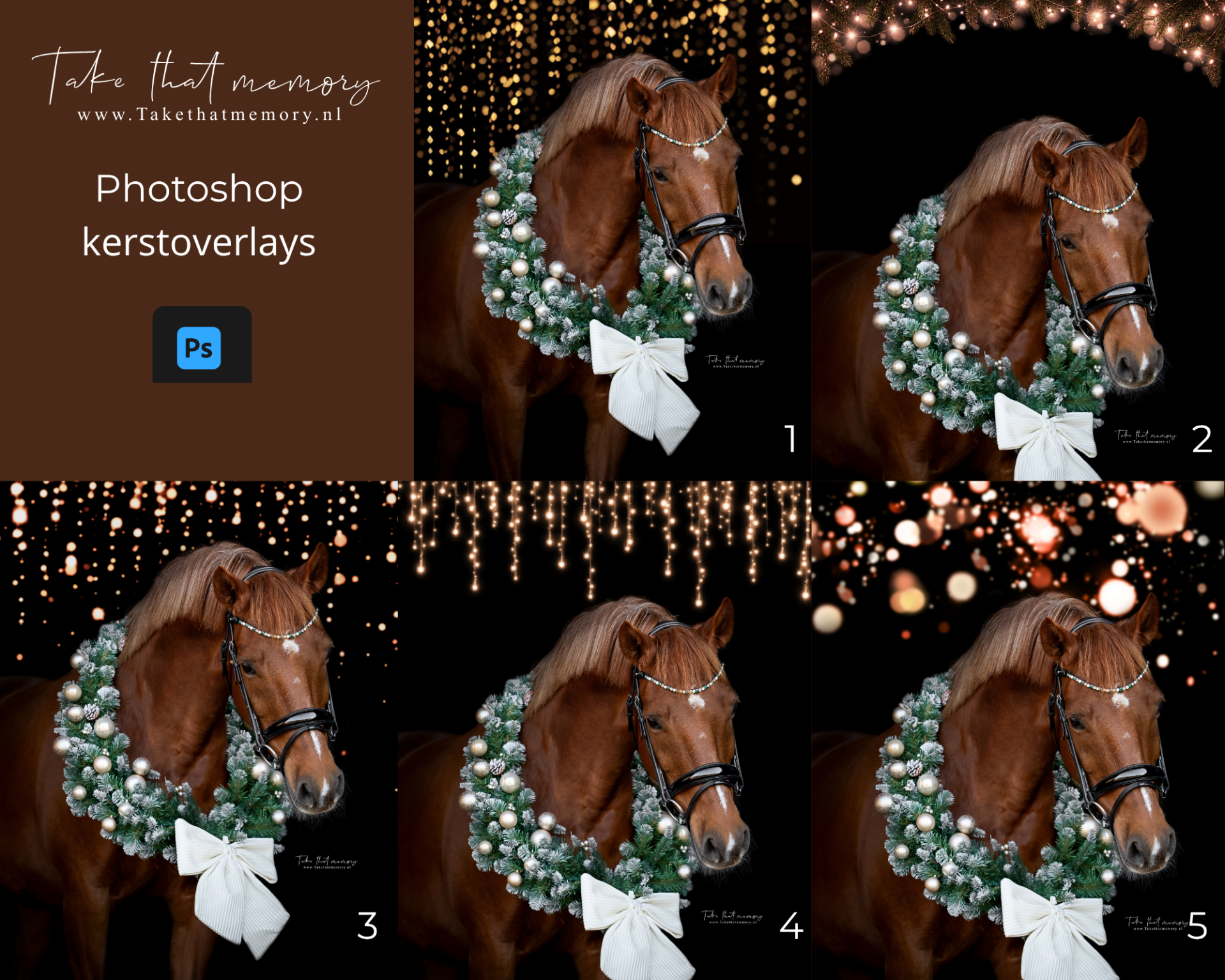 Digitale photoshop download kerst lichtjes