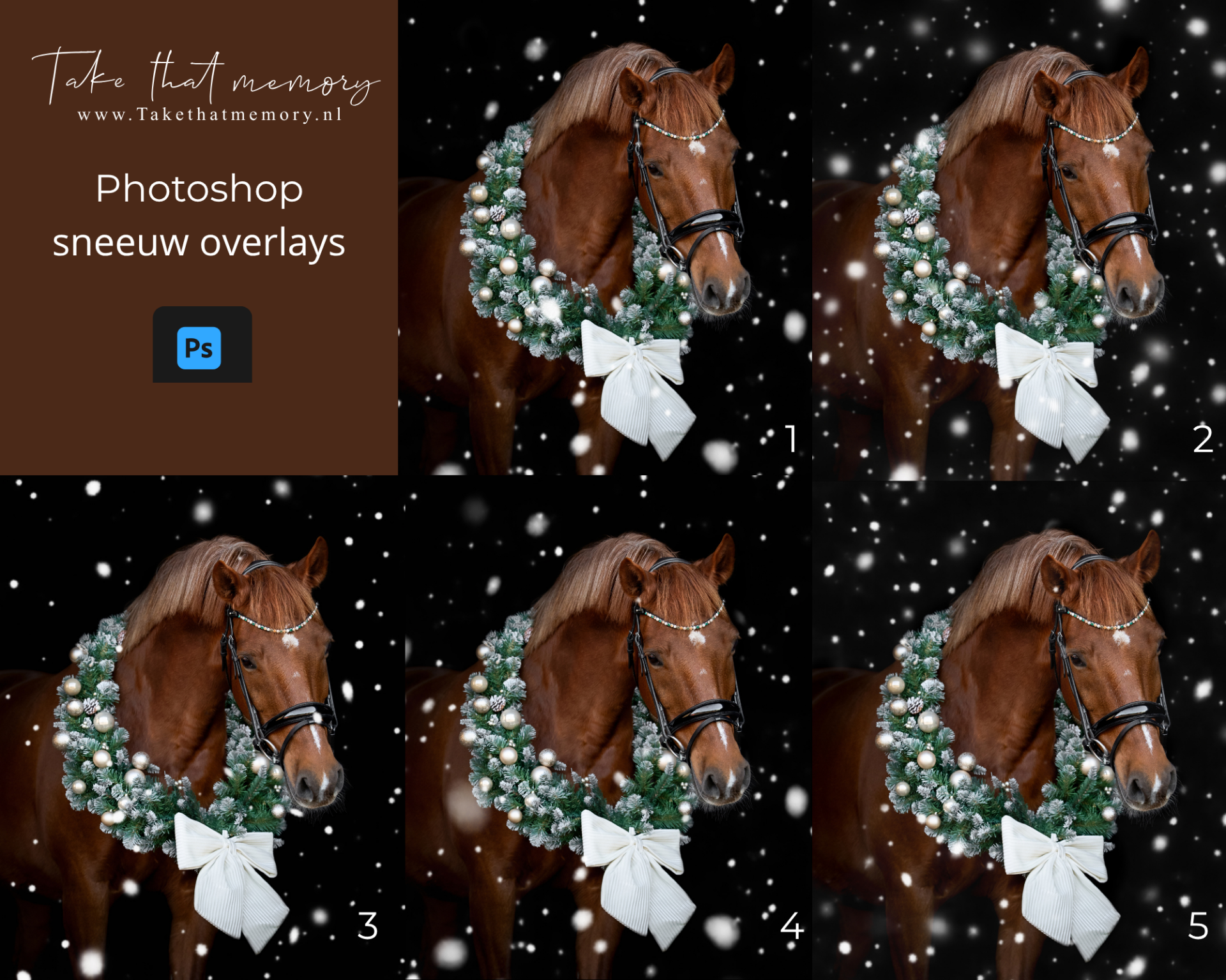 Digitale photoshop download sneeuw overlays