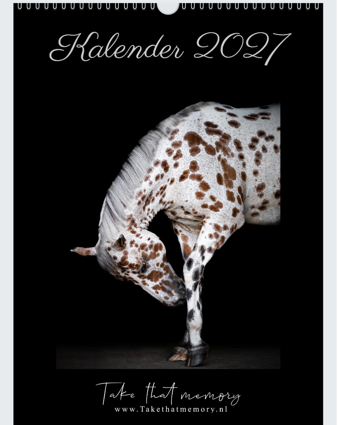 Kalender 2027 A3 formaat