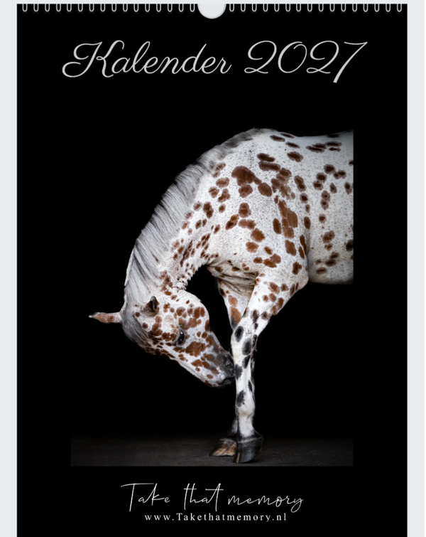 Kalender 2027 A3 formaat