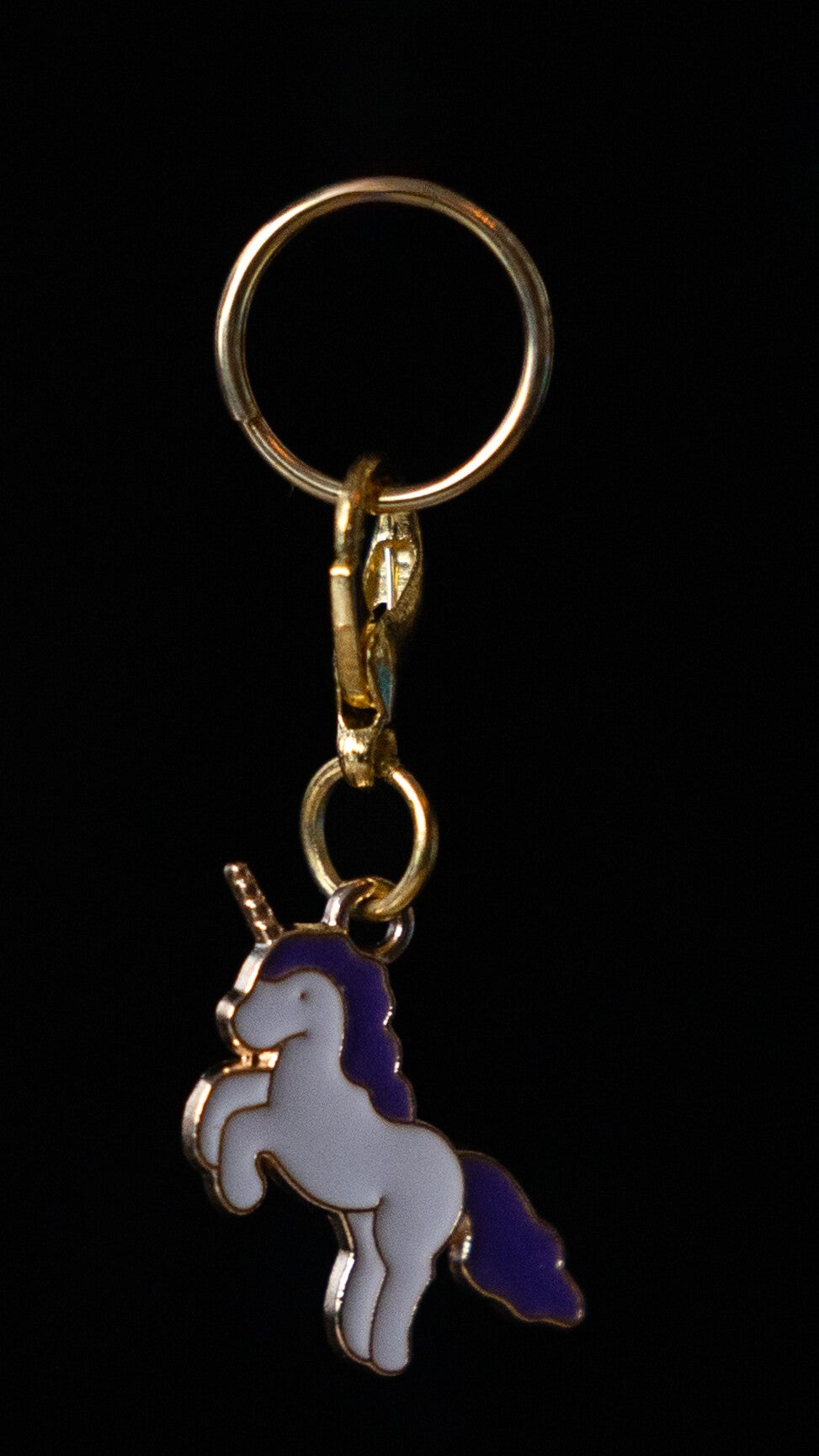 Chevalure paarse eenhoorn