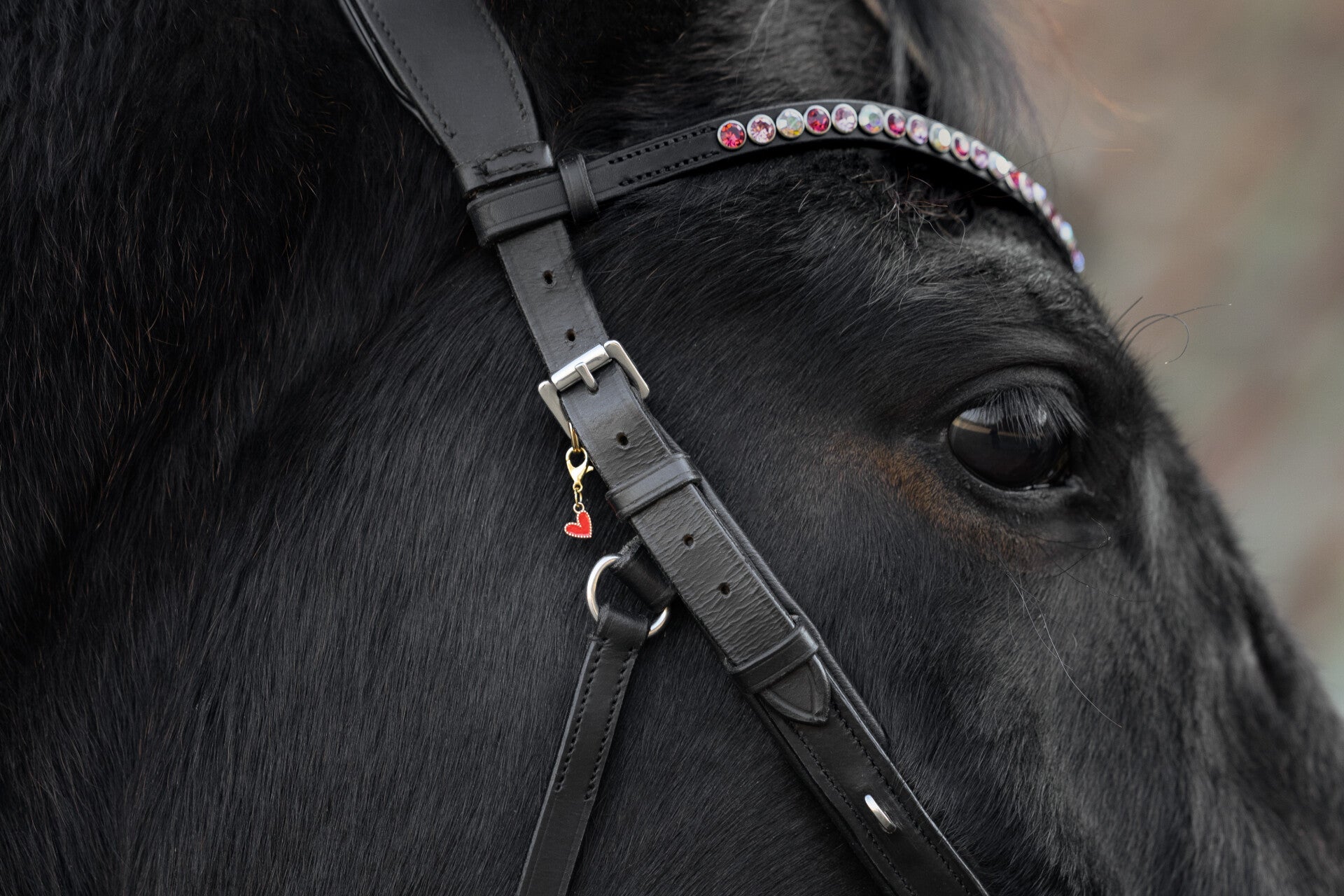 Chevalure L’Amour mini