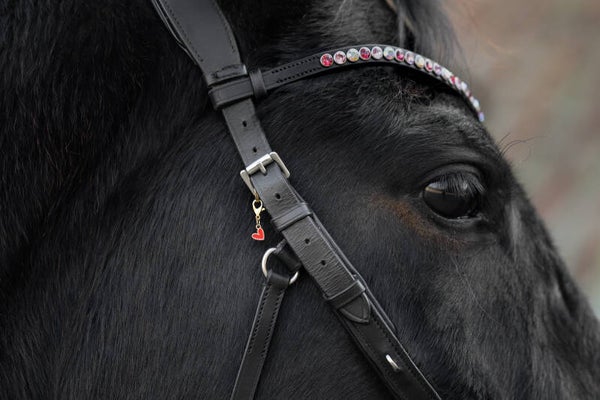 Chevalure L’Amour mini