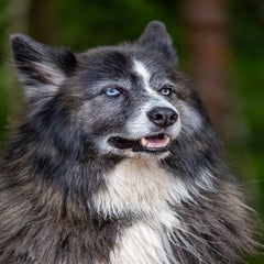 dscf9202-standard-bzbywt.jpg