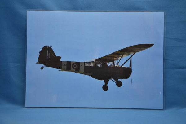 Auster MK5