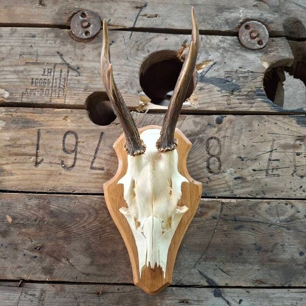 Reegewei op licht houten schild - Natuurlijke decoratie