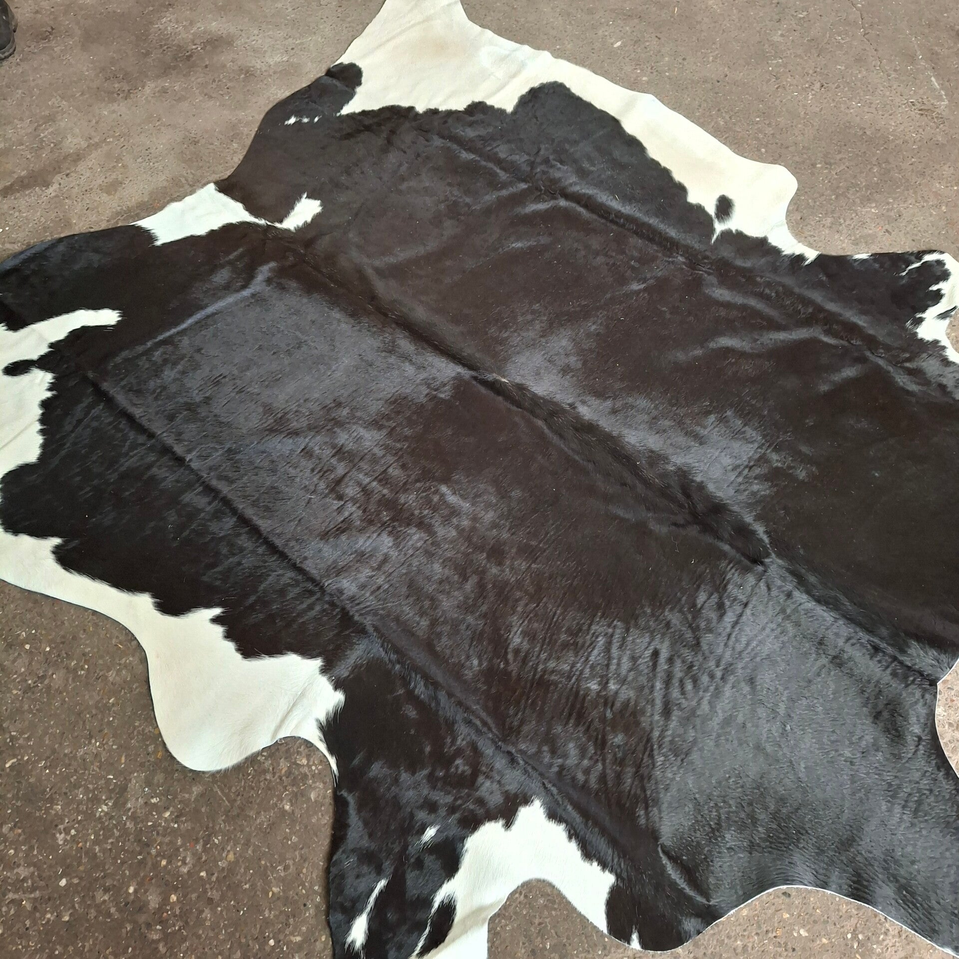 Zwarte-witte herkenbare koeienhuid - Natuurlijke decoratie