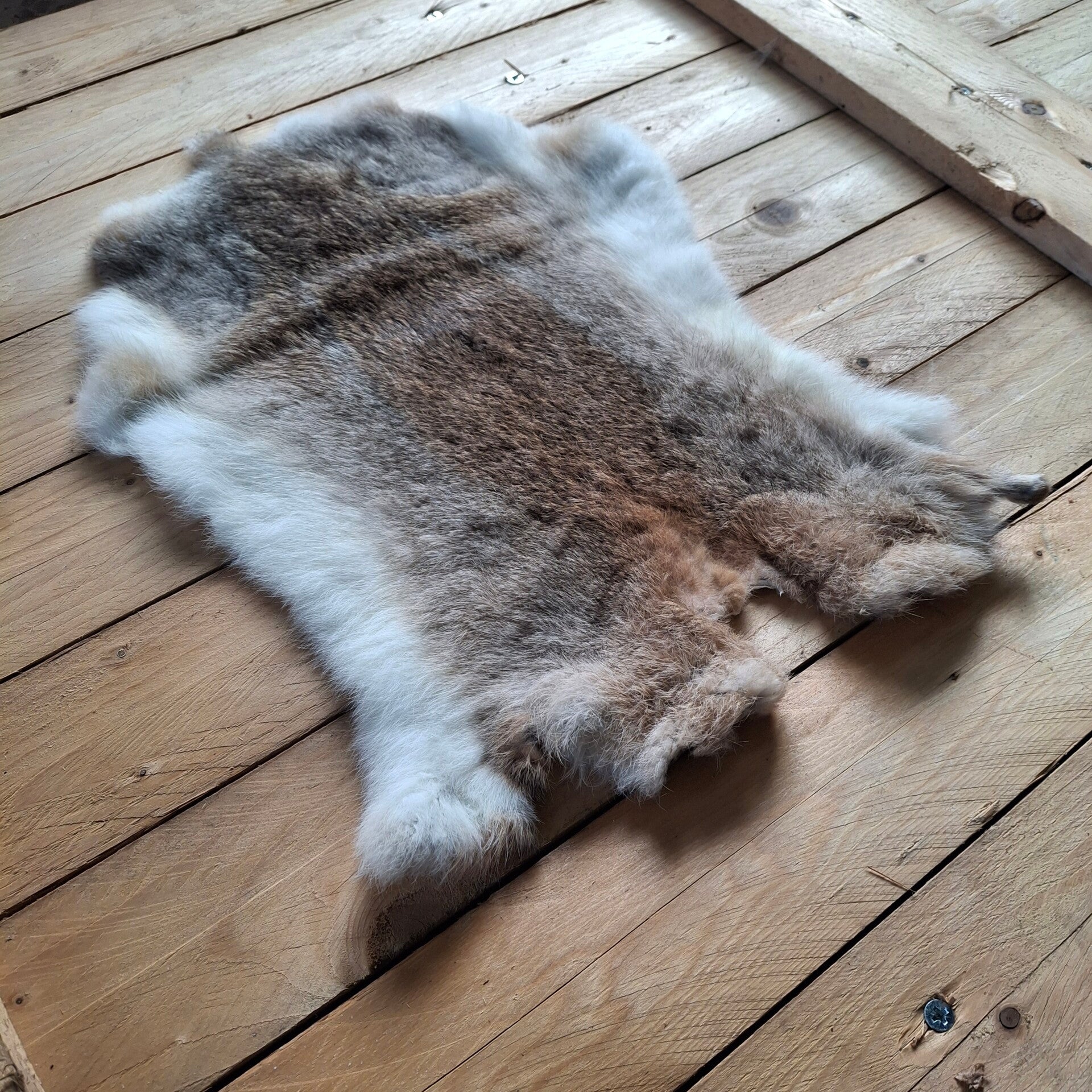 Konijnenvacht natuurkleur - Natuurlijke decoratie