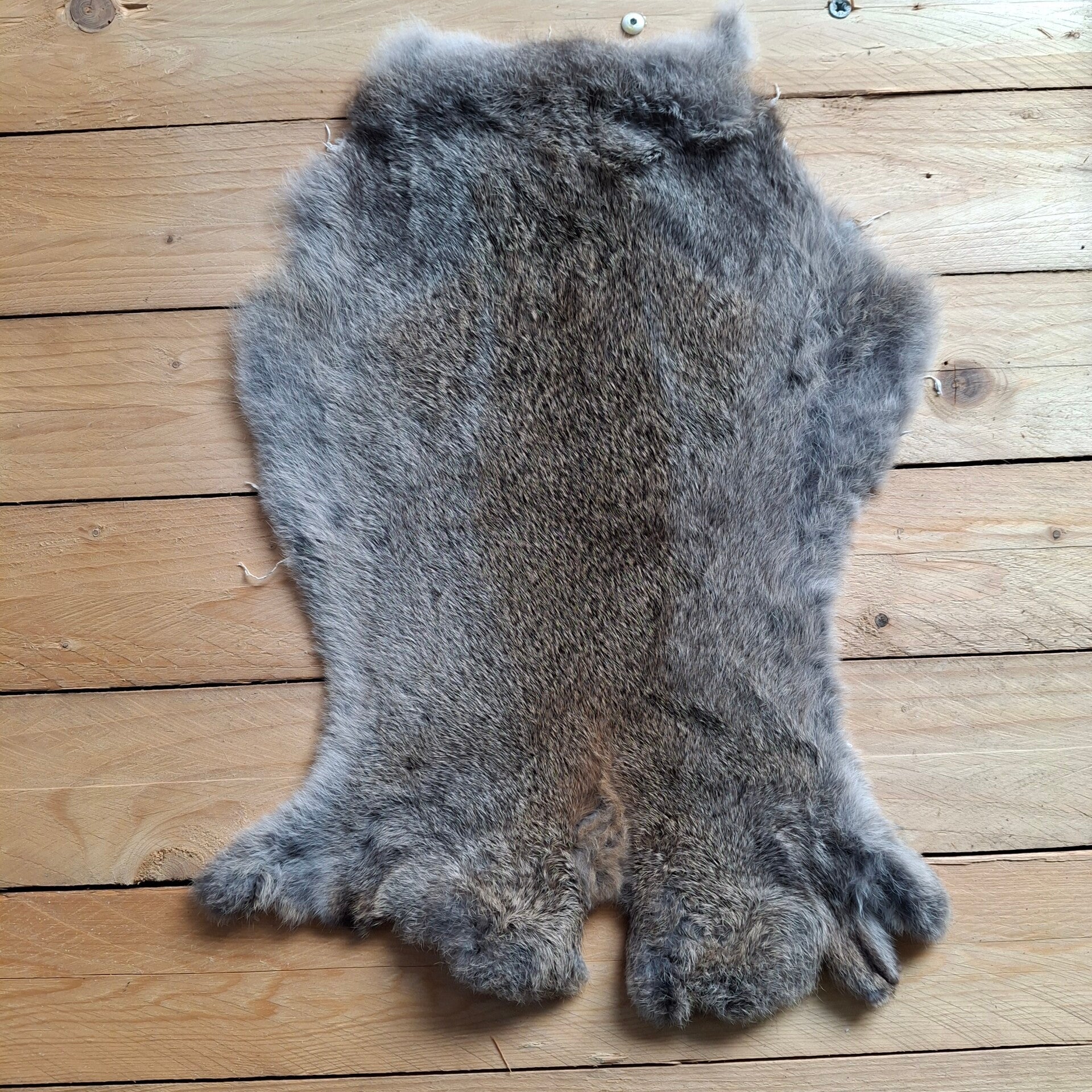 Konijnenvacht donkergrijs - Natuurlijke decoratie