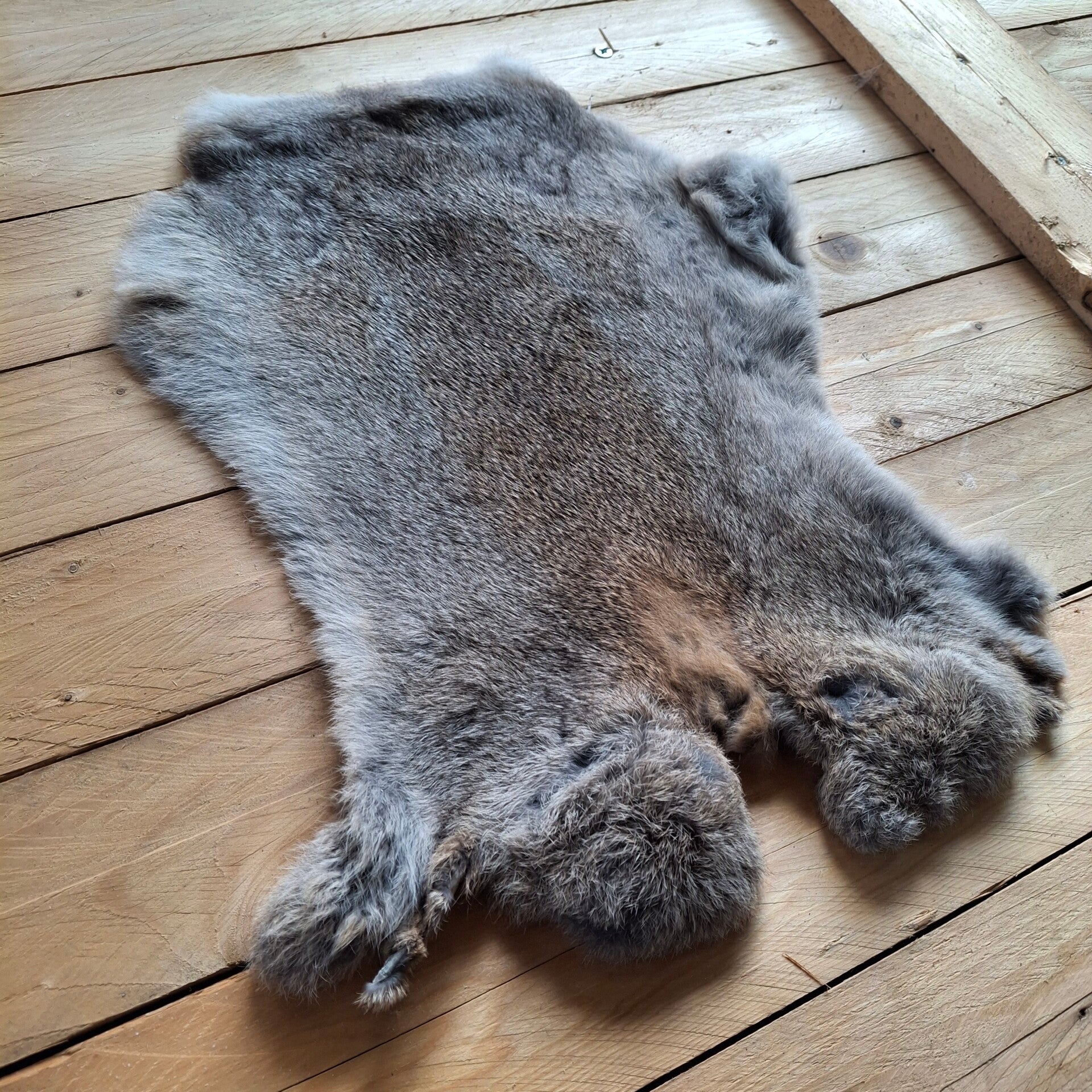 Konijnenvacht grijs natuurkleur - Natuurlijke decoratie