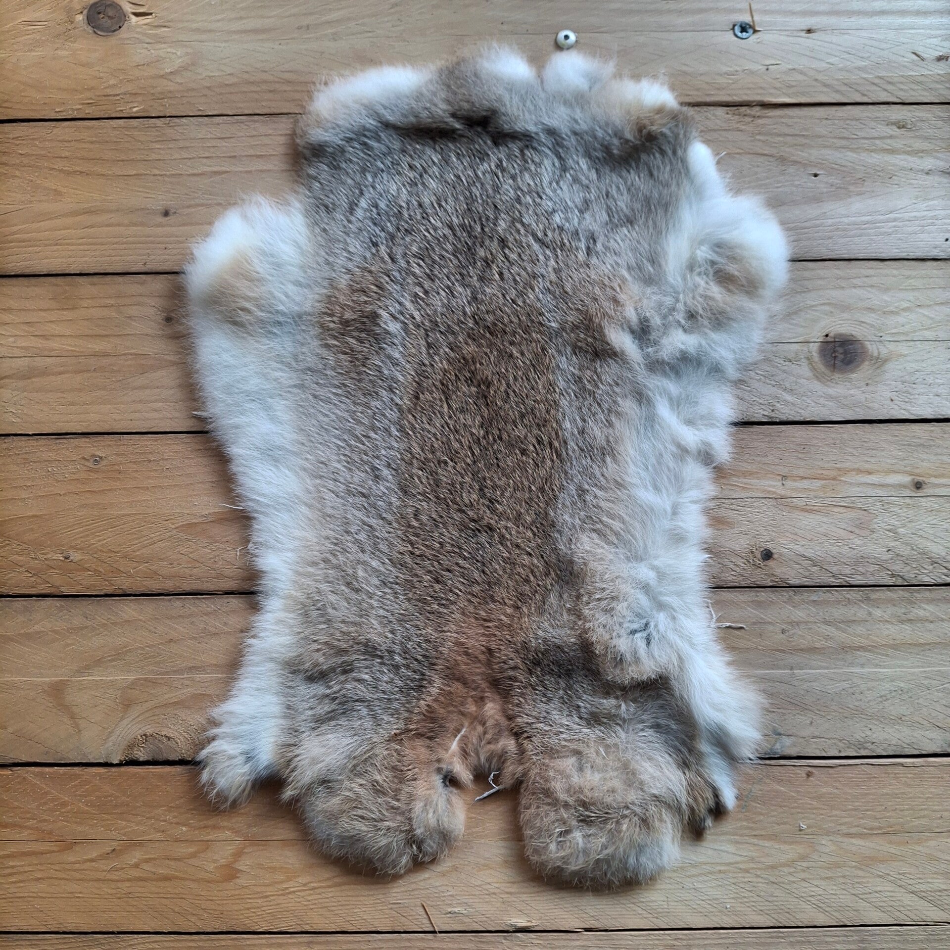 Konijnenvacht natuurkleur - Natuurlijke decoratie