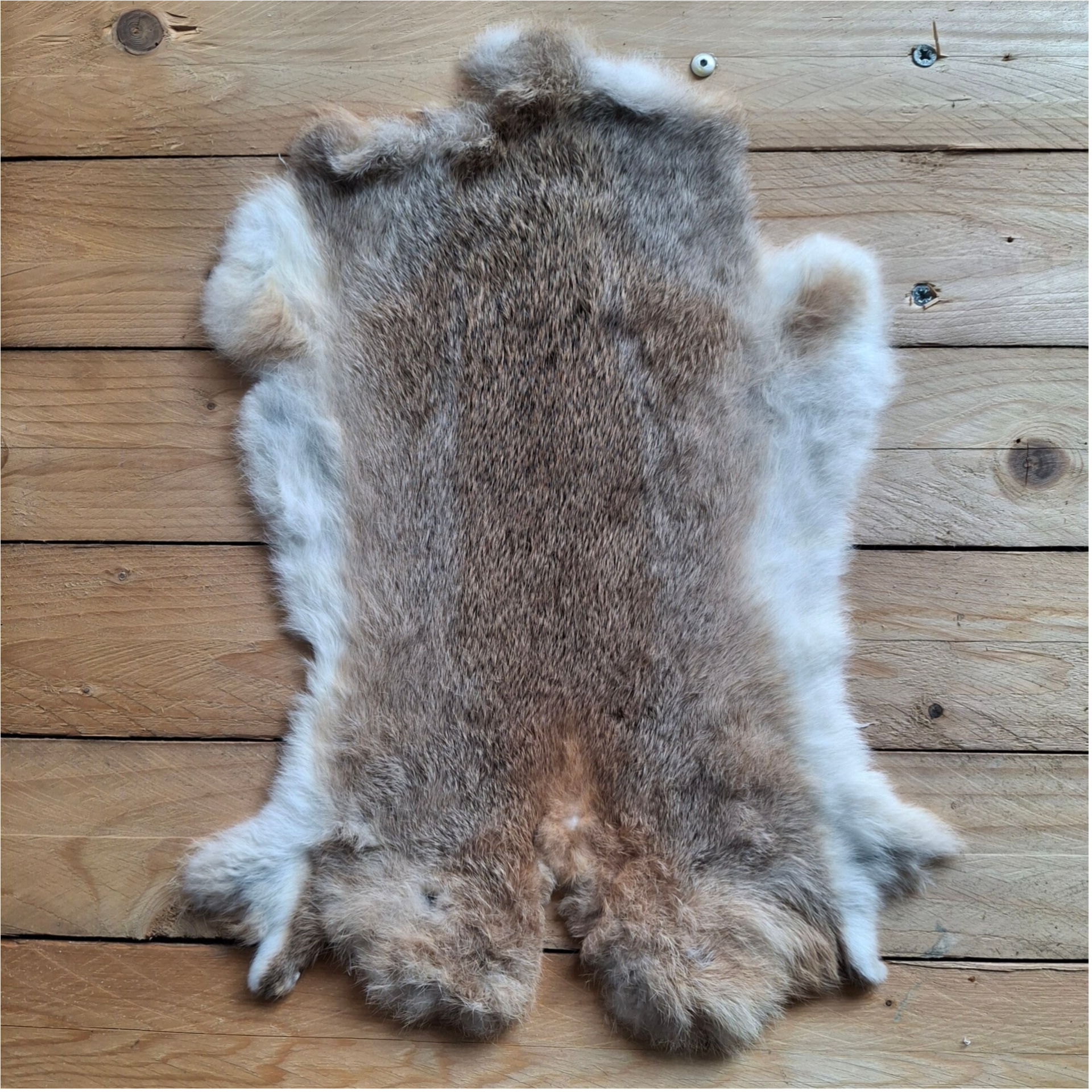 Konijnenvacht natuurkleur - Sfeervolle decoratie