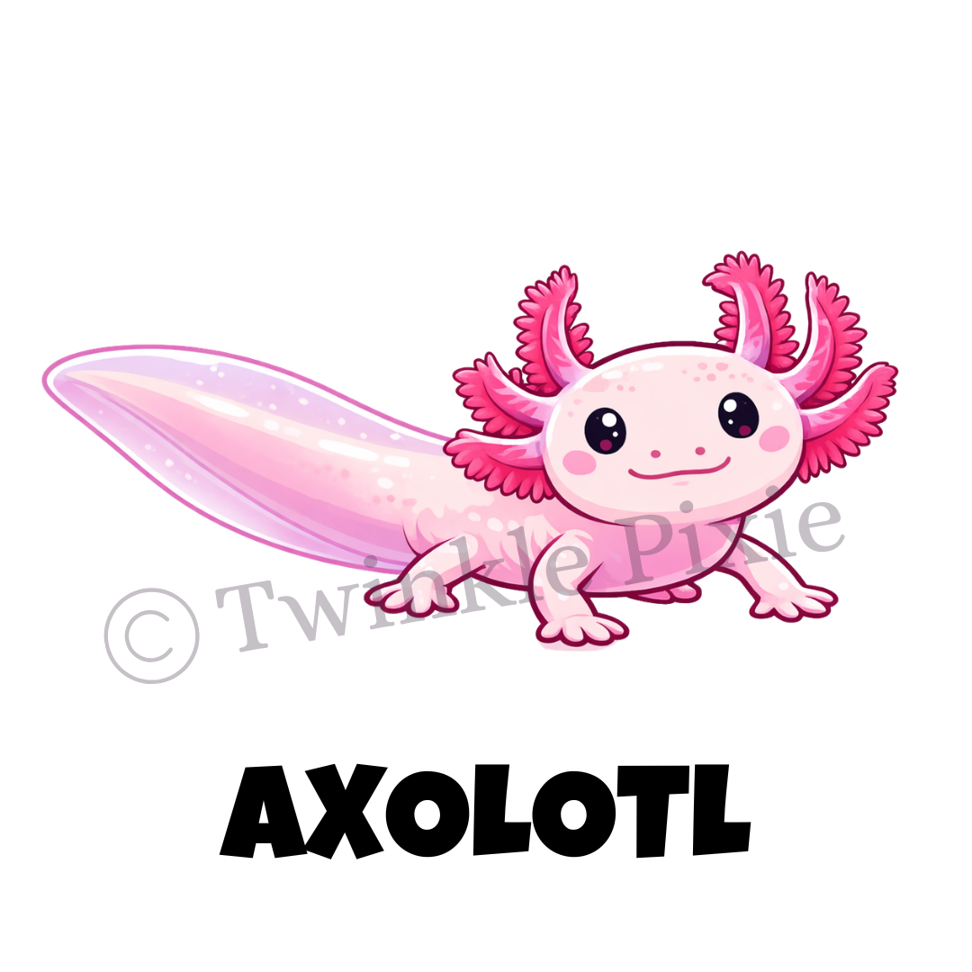 Magneetkaartje - axolotl