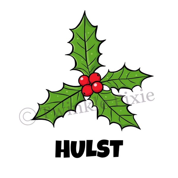 Magneetkaartje - hulst