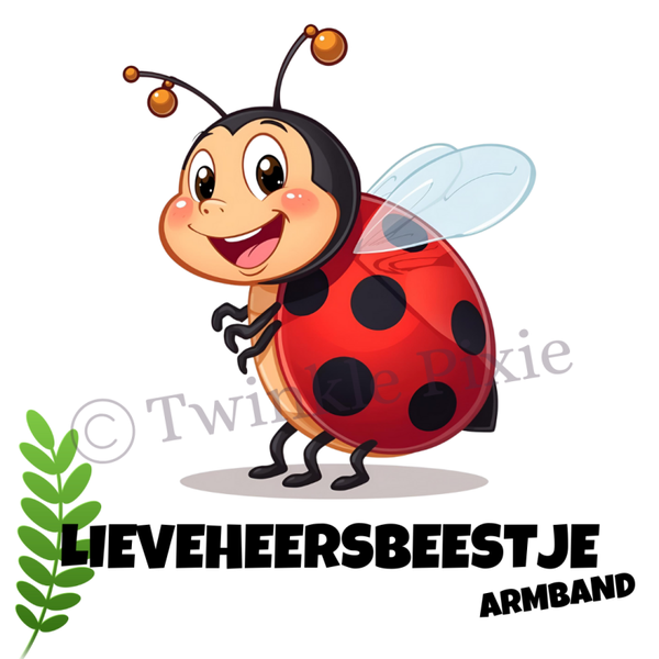 Magneetkaartje - lieveheersbeestje armband