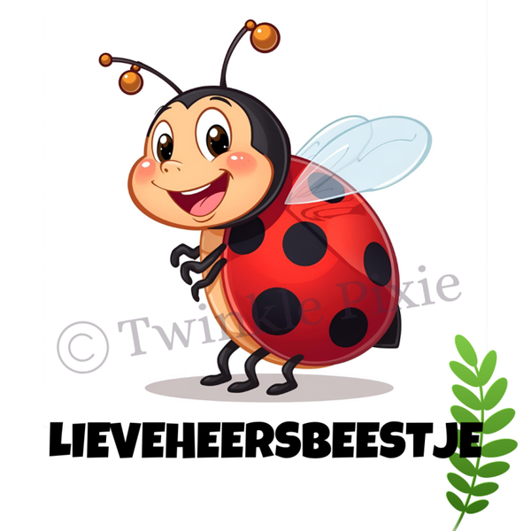 Magneetkaartje - lieveheersbeestje