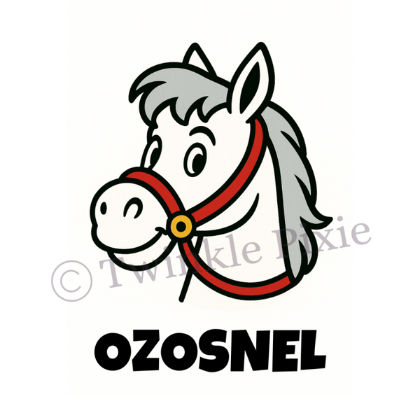 Magneetkaartje - ozosnel