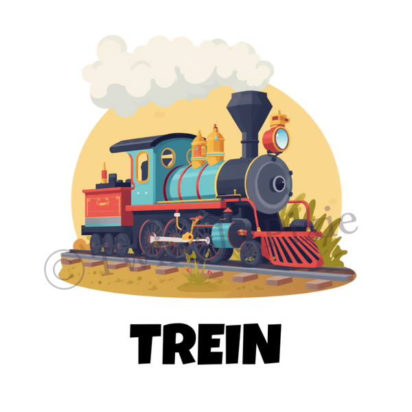 Magneetkaartje - trein