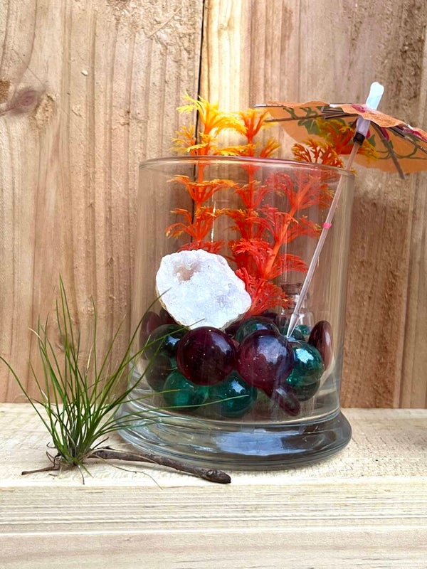 Air Plant on Crystal Geode, Display