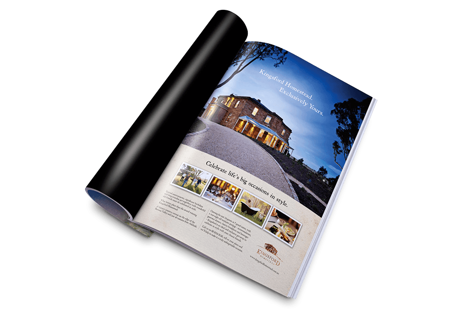 Revistas