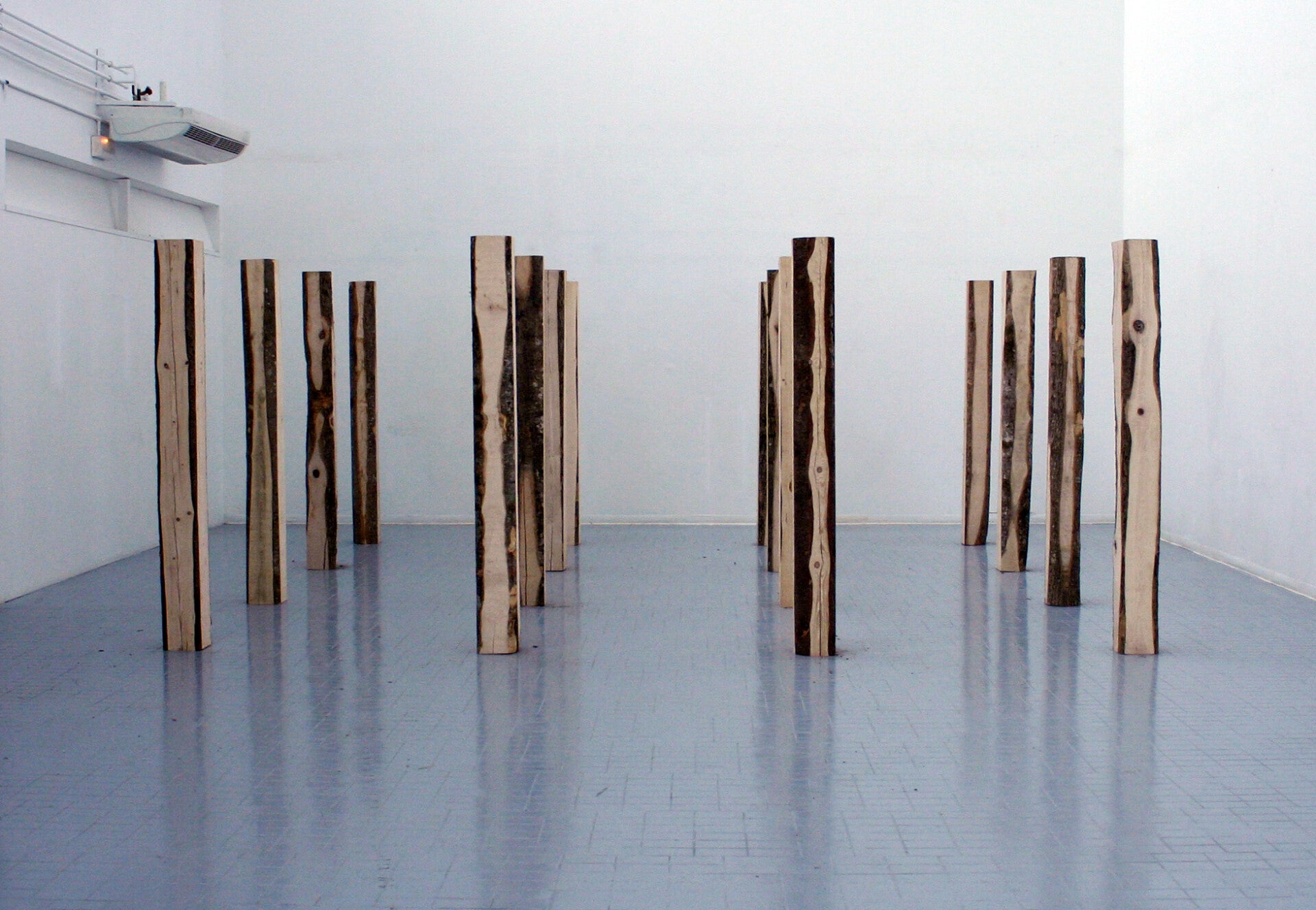 Forêt#1 - Installation - dimensions variables