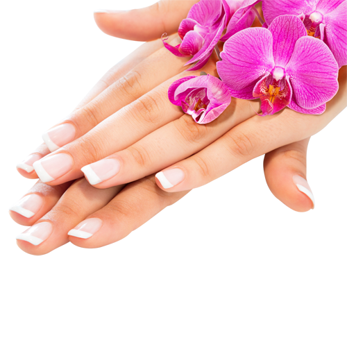 Manucure et beauté des mains