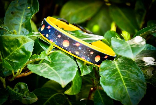 Halsband met Uv geprint biothane