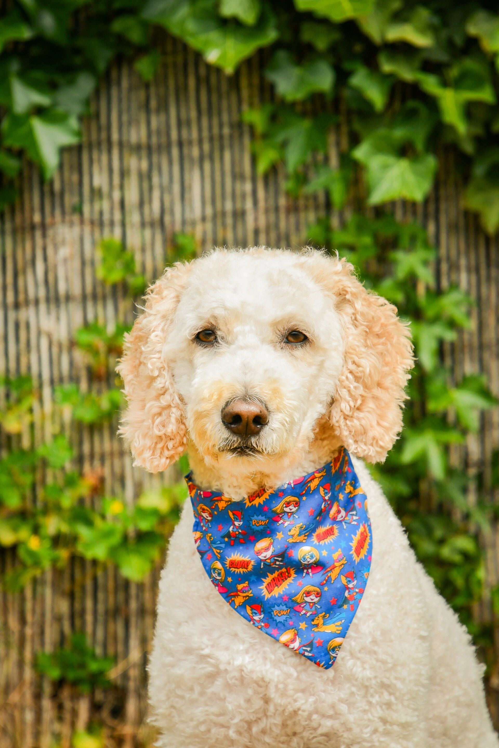 Bandana superhelden