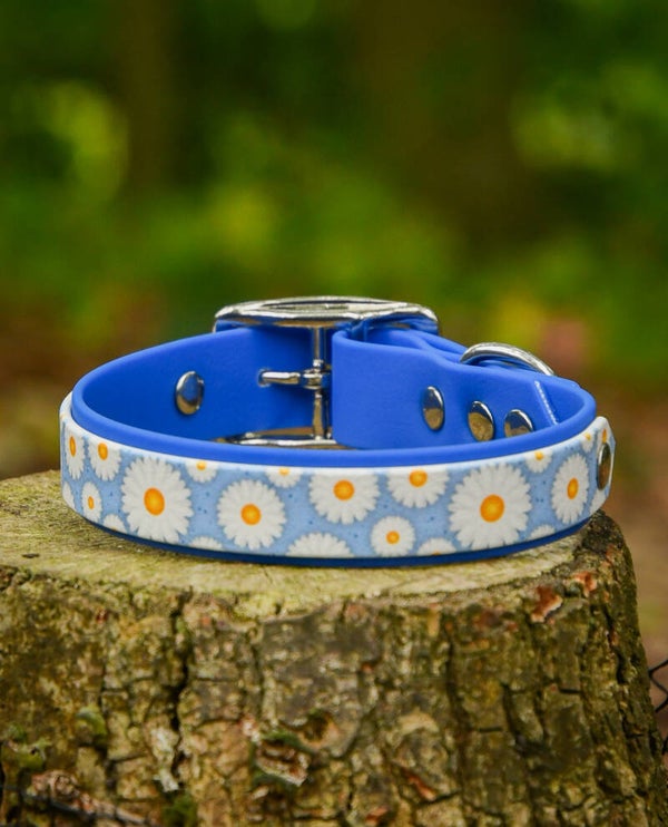 Halsband