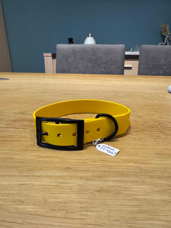 Halsband