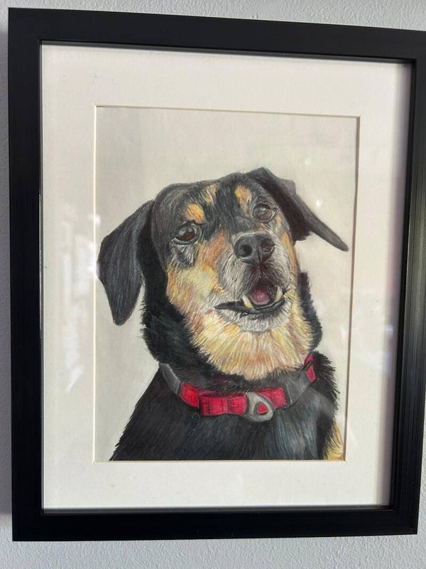 CUSTOM Single pet portrait