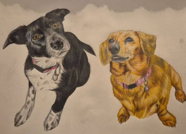 CUSTOM Double pet portrait