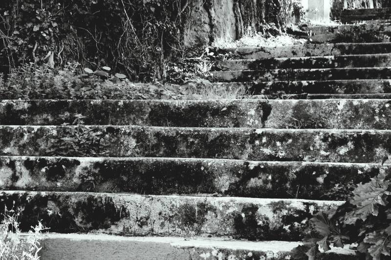 escaliers-3-standard-vm95ps.jpg