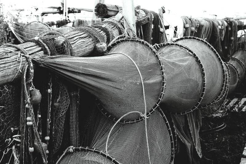 filets-6-standard.jpg